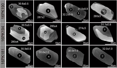 Change in Subduction Dip Angle of the Indian Continental Lithosphere Inferred From the Western Himalayan Eclogites